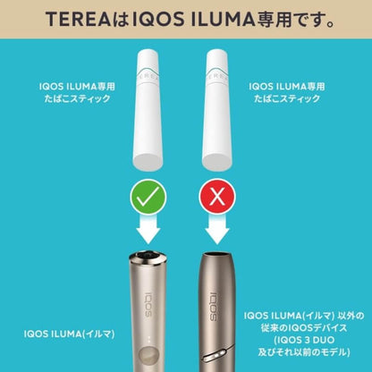 【TEREA】T牌加熱菸 -  IQOS ILUMA系列專用 -  日版T牌 一條10小包 台灣現貨在售